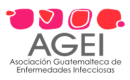 Logo AGEI Logo AGEI
